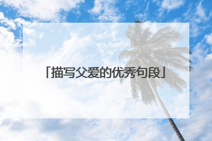 描写父爱的优秀句段
