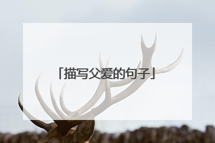描写父爱的句子