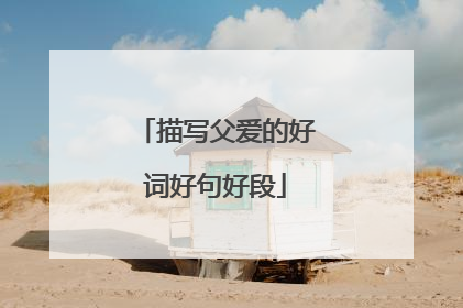 描写父爱的好词好句好段