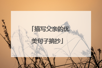 描写父亲的优美句子摘抄