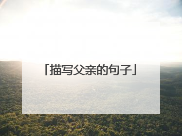 描写父亲的句子