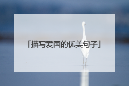 描写爱国的优美句子