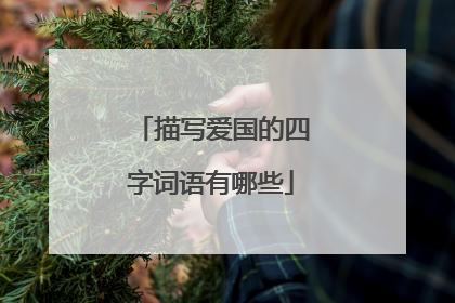 描写爱国的四字词语有哪些