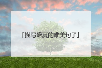 描写盛夏的唯美句子