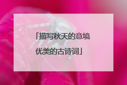 描写秋天的意境优美的古诗词