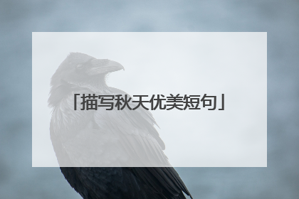 描写秋天优美短句