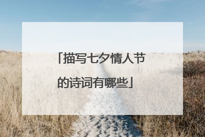 描写七夕情人节的诗词有哪些