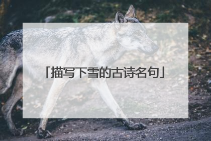 描写下雪的古诗名句