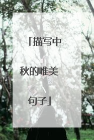描写中秋的唯美句子