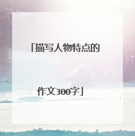 描写人物特点的作文300字