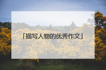 描写人物的优秀作文