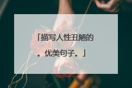 描写人性丑陋的。优美句子。