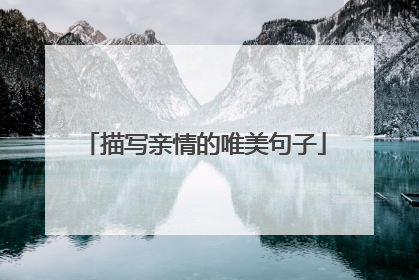 描写亲情的唯美句子