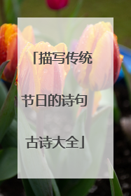 描写传统节日的诗句古诗大全