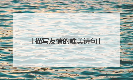 描写友情的唯美诗句