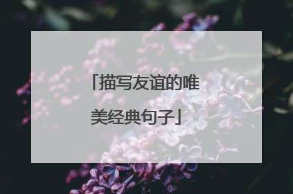 描写友谊的唯美经典句子