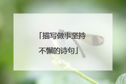 描写做事坚持不懈的诗句