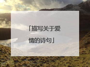 描写关于爱情的诗句