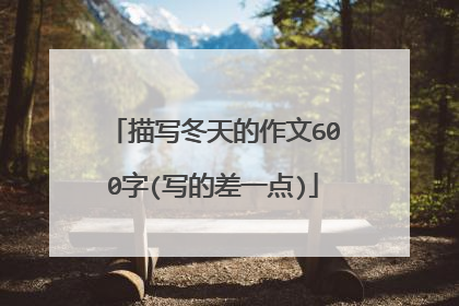 描写冬天的作文600字(写的差一点)