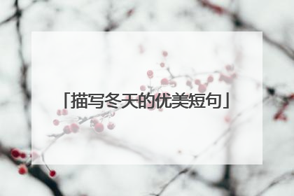 描写冬天的优美短句