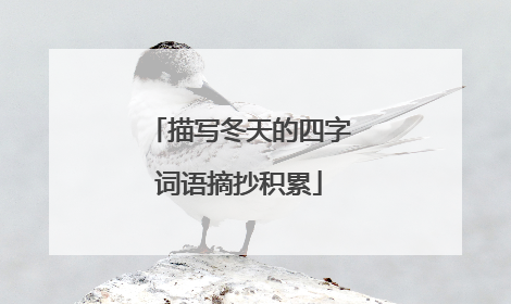 描写冬天的四字词语摘抄积累
