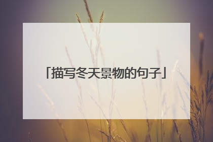 描写冬天景物的句子