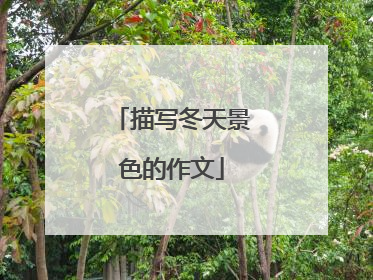 描写冬天景色的作文
