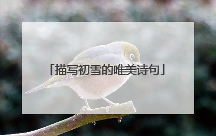 描写初雪的唯美诗句