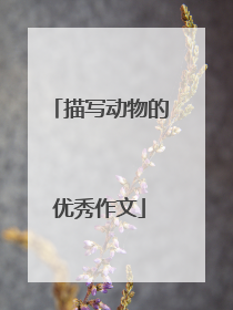 描写动物的优秀作文