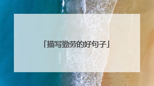 描写勤劳的好句子