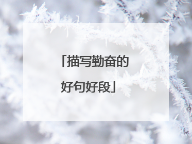 描写勤奋的好句好段