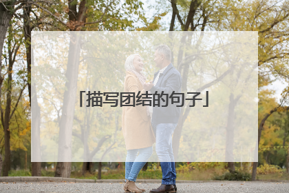 描写团结的句子
