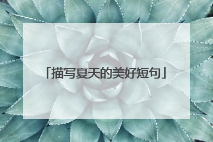 描写夏天的美好短句
