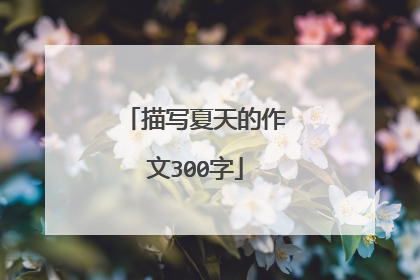 描写夏天的作文300字