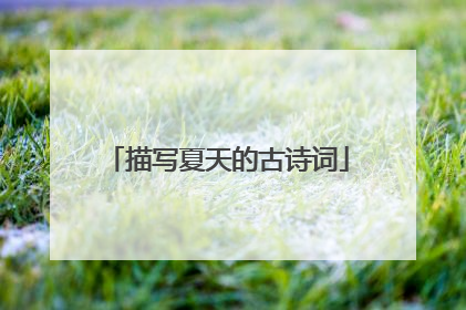 描写夏天的古诗词