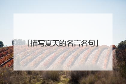 描写夏天的名言名句