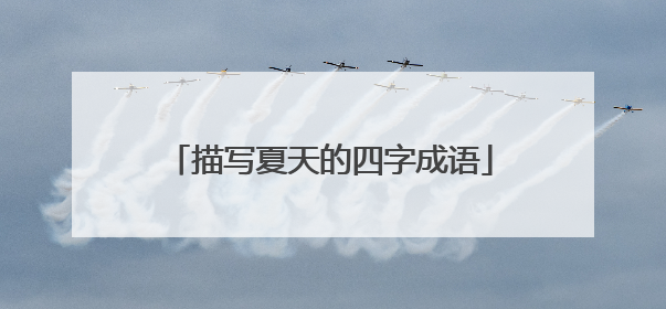 描写夏天的四字成语