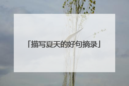 描写夏天的好句摘录