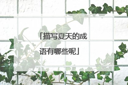描写夏天的成语有哪些呢