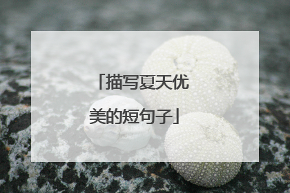 描写夏天优美的短句子
