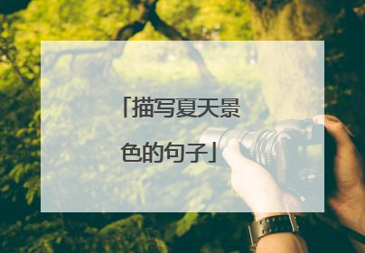 描写夏天景色的句子
