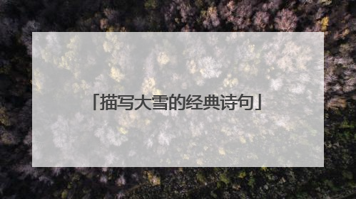 描写大雪的经典诗句