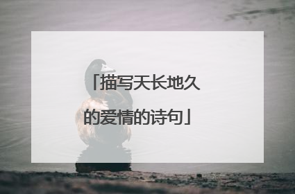 描写天长地久的爱情的诗句