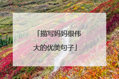 描写妈妈很伟大的优美句子