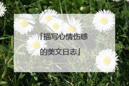 描写心情伤感的美文日志