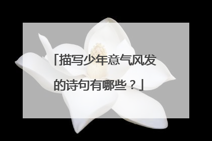 描写少年意气风发的诗句有哪些?