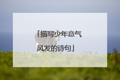 描写少年意气风发的诗句