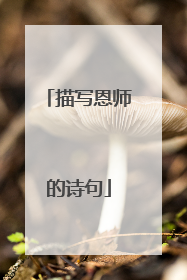 描写恩师的诗句