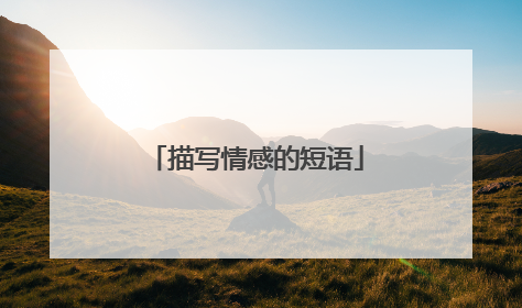 描写情感的短语
