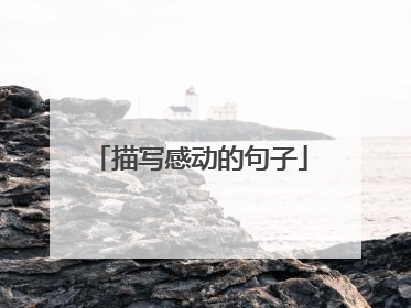 描写感动的句子